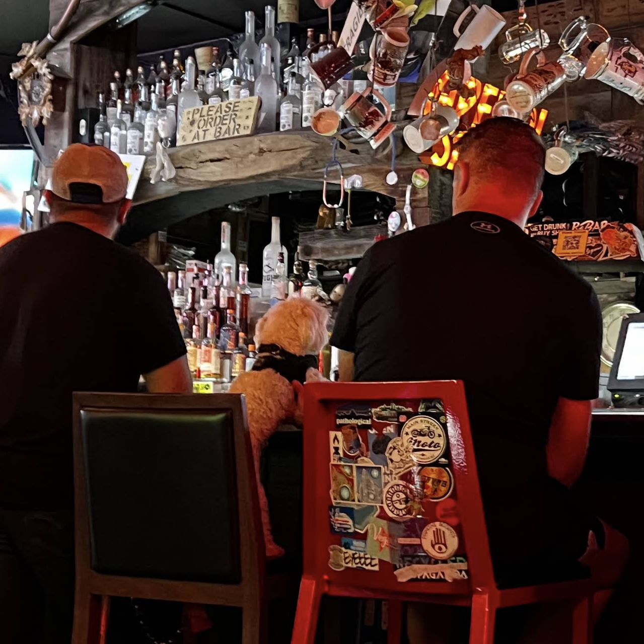A dog hanging out with the group at a bar stop